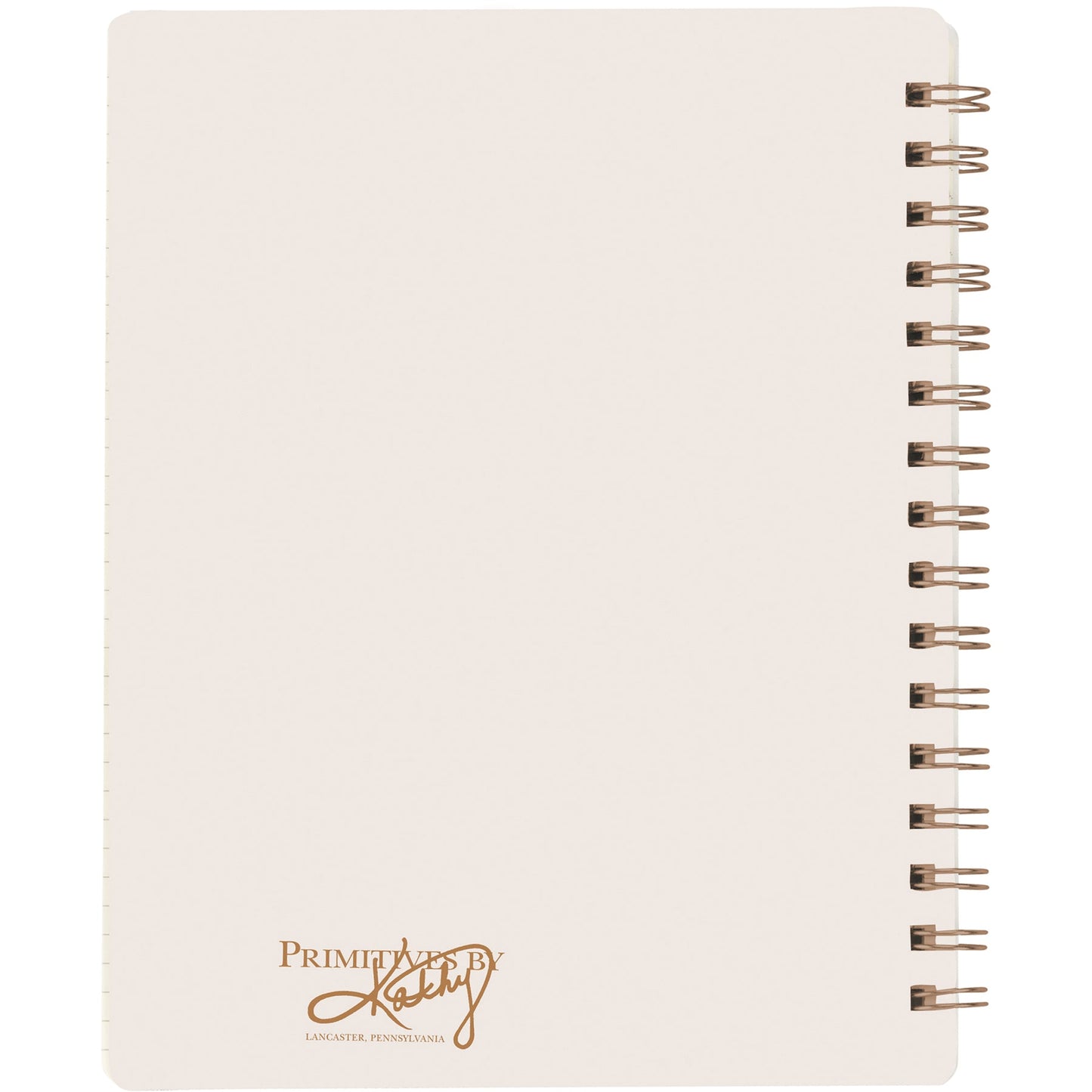 Positive Reminders - I Am Amazing Spiral Notebook | 5.75" x 7.50" | 120 Lined Pages