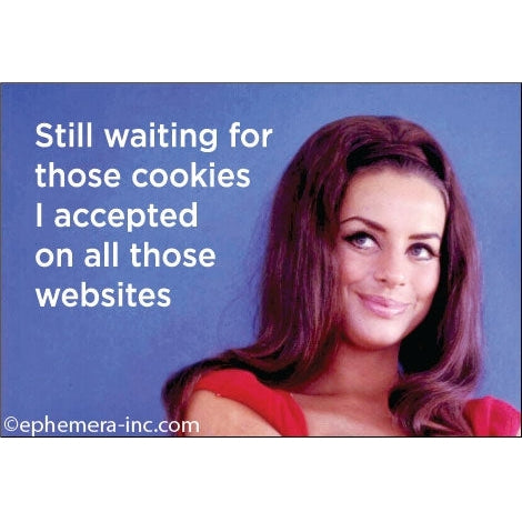 Still Waiting For Those Cookies I Accepted On All Those Websites Magnet | 2" x 3"