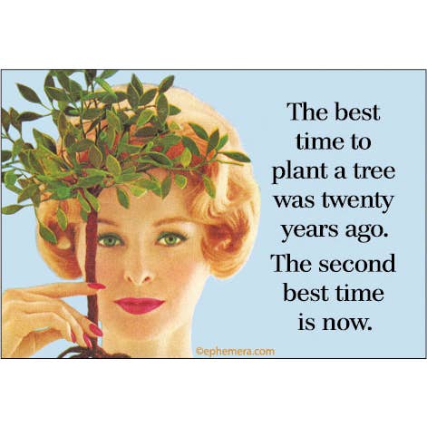 The Best Time To Plant A Tree Magnet