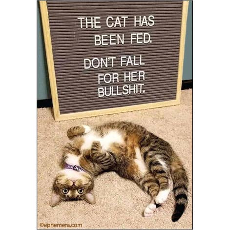 The Cat Has Been Fed Magnet
