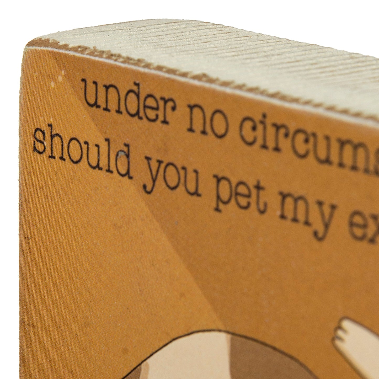 Under No Circumstances Should You Pet My Exposed Belly Wooden Block Sign | Pets, Cats | 4" x 3.25"