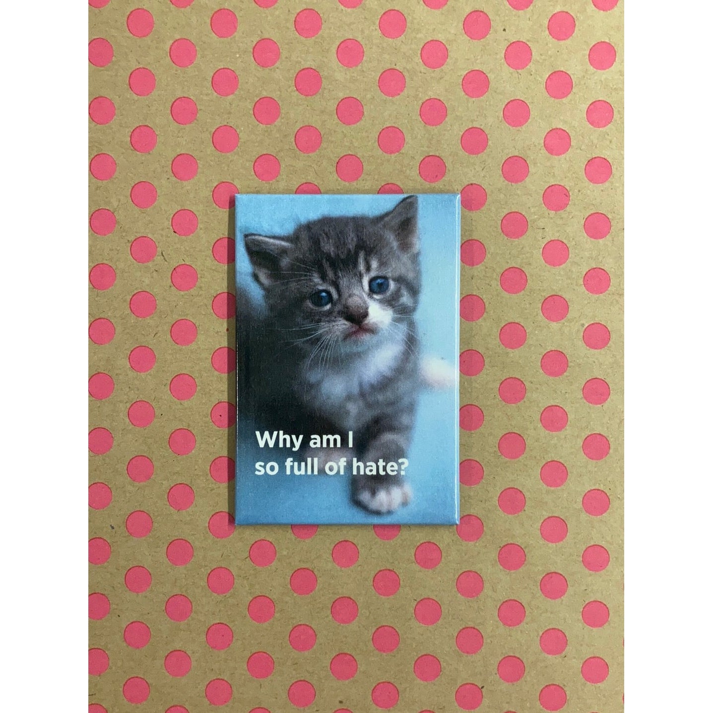 Why Am I So Full Of Hate Cat Magnet | 2" x 3"