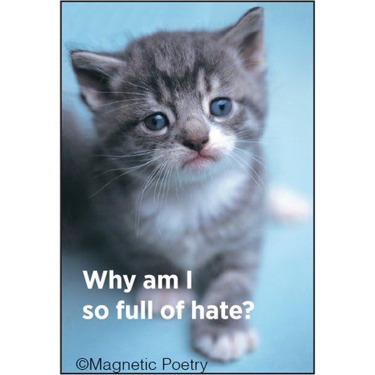 Why Am I So Full Of Hate Cat Magnet | 2" x 3"