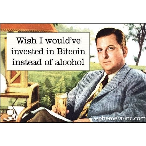 Wish I Would've Invested In Bitcoin Instead Of Alcohol Magnet | 2" x 3"